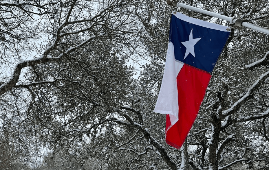 Texas flag against a snowy background with trees