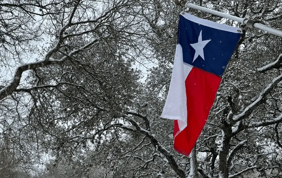 Texas flag against a snowy background with trees