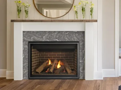Meridian/Meridian Platinum Fireplace